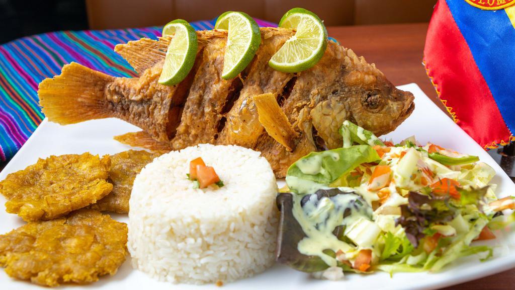 Mojarra · Served with white rice, green plantain and salad.