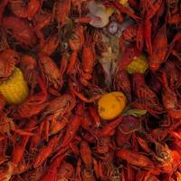 Crawfish · Price listed is per pound. Order multiple quantities if you want more than 1 pound, dont for...