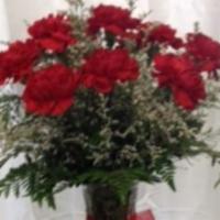 Red Carnation Bliss · Dozen red carnations with filler and greens arranged in a nine