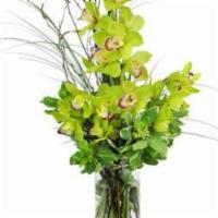 Orchid Visions Bouquet · Are you looking for a major WOW factor? Look no further than our stunning cymbidium display!...