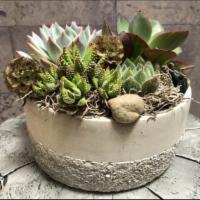 Sierra · An eco-friendly, very easy to care for and long lasting arrangement of unique succulents and...