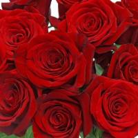 Debi Lilly Dozen Red Rose Bouquet (Red) · Dozen Roses wrapped in a kraft wrap.