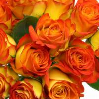 Debi Lilly Dozen Orange Rose Bouquet (Orange) · Dozen Roses wrapped in a kraft wrap.