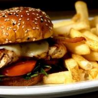 Bacon Cheese Chicken Grille · grilled chicken, “thick-cut” bacon, monterey jack, standard side (aioli or honey mustard)