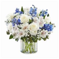 Wonderful Wisher · A mix of white and blue flowers.