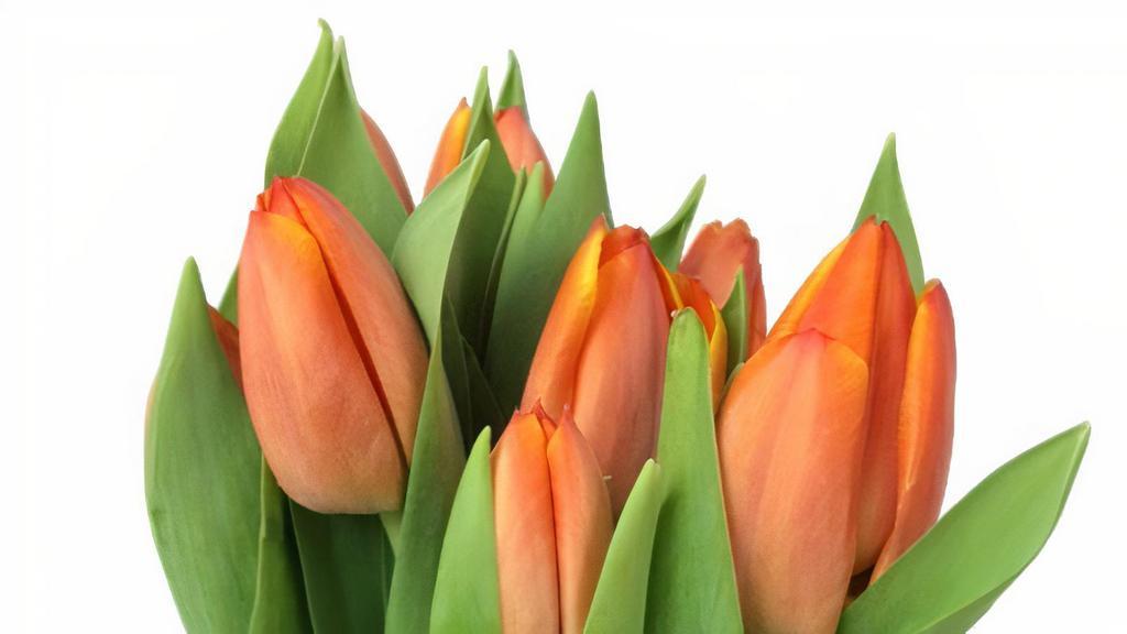Dutch Tulips/Solid Bunches (10 Stems) · 10 Stem Dutch Tulips wrapped in a Kraft wrap.