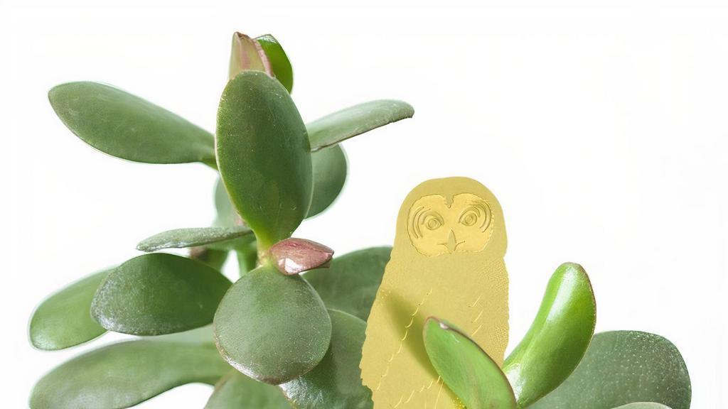 Owl Plant Animal  · Plant Animals are a delightful way to make your own mini indoor forest. Treat yourself or give your friend a small gift to let them know you are thinking about them. 

Our watchful Owl perches on your plants, by simply straddling his legs over the stem or branch.