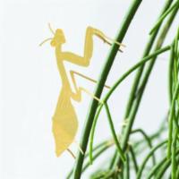 Praying Mantis Plant Animal · Plant Animals are an exciting way to make your own mini rainforest.  Another Studio's first ...
