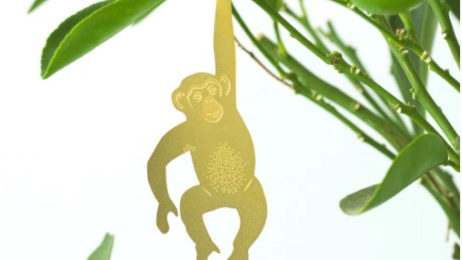 Chimpanzee Plant Animal · Plant Animals are playful creatures for your houseplants! Bring your indoor jungle to life with this cheeky Chimpanzee. Etched in metal, he swings from your plants by folding his hand into shape. Contents: Hanging animal. Materials: paper, brass.  Packaging dimensions: 150 x 50 mm. Brand: Another Studio.