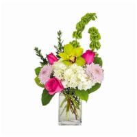 Stephanie · Enjoy a cool and calming mix of fresh cremone, hydrangea, roses, bells of Ireland and a cymb...
