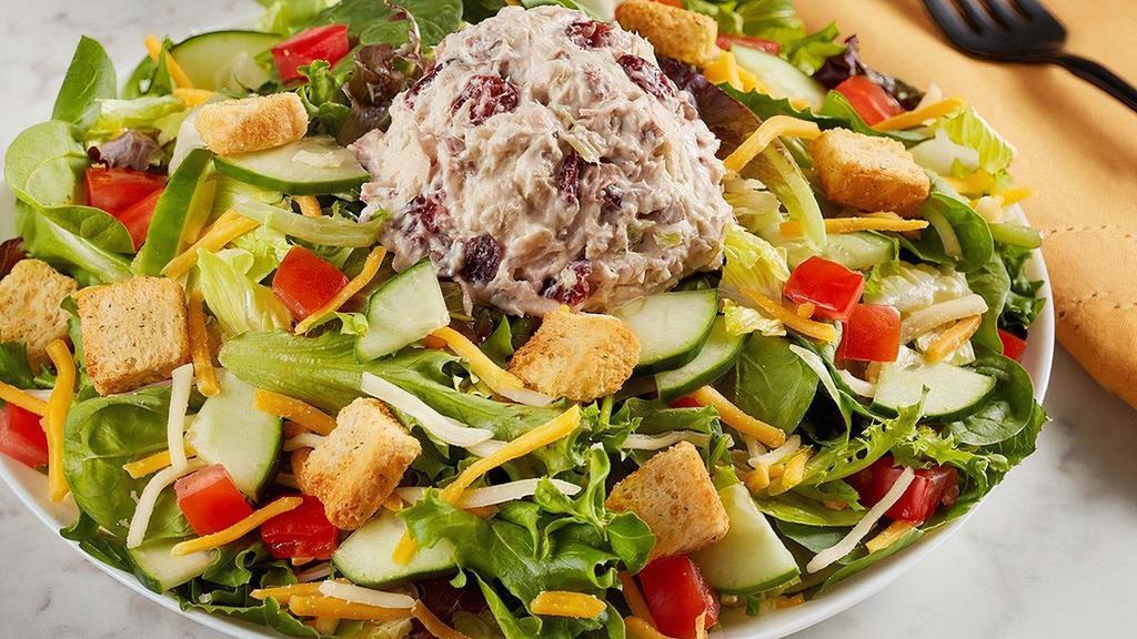 Harvest Chicken Salad (Contains Pecans) · Our Garden Salad with a scoop of Harvest Chicken Salad. *This product contains pecans.*