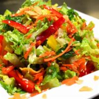 Asian Salad · Shredded Romaine, shredded kale, red and yellow bell pepper, sesame seeds, toasted coconut c...
