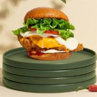 Hide And Cheese Chicken Sandwich · Crispy fried chicken, cheddar cheese, mozzarella cheese, lettuce, tomato, onion, house mayo,...