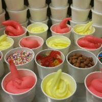 Medium Party Pack · 20 small cups of Froyo, Custard, Gelato, Italian Ice or Sorbet and 3 cups of toppings.