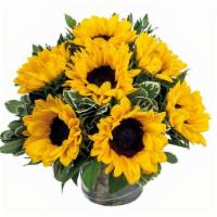Sunny Days All Around · This arrangement is a summer classic! Farm fresh sunflowers elegantly arranged amongst beaut...