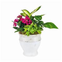 Mixed Planter · A mix of green & blooming plants are designed in a white ceramic pot.

Approx. 11