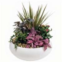 Heart Of Gold Deluxe · A nice mix of green & blooming plants arranged in a simple white planter, accented with gold...