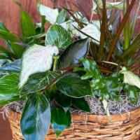 Green Garden Basket · 