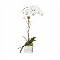 Single Orchid · Classic single white phalenopsis orchid in a square vase perfect for any occasion. They also...