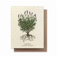 Lavender Botanical Greeting Cards - Plantable Seed Paper · These greeting cards feature our pen and watercolor drawings. Our cards are printed on plant...
