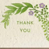 Thank You Botanical Greeting Cards - Plantable Seed Paper · These greeting cards feature our pen and watercolor drawings. Our cards are printed on plant...