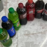 Soda Bottle · Regular Coke, Coke zero, Coke Diet, 
Dr Pepper, Diet Dr Pepper, Big Red, Mountain Dew