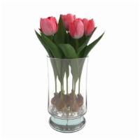 Tulip Blooming Buds · Watch your blooms grow daily. Beautiful glass container, includes 7 bud stems that come in m...