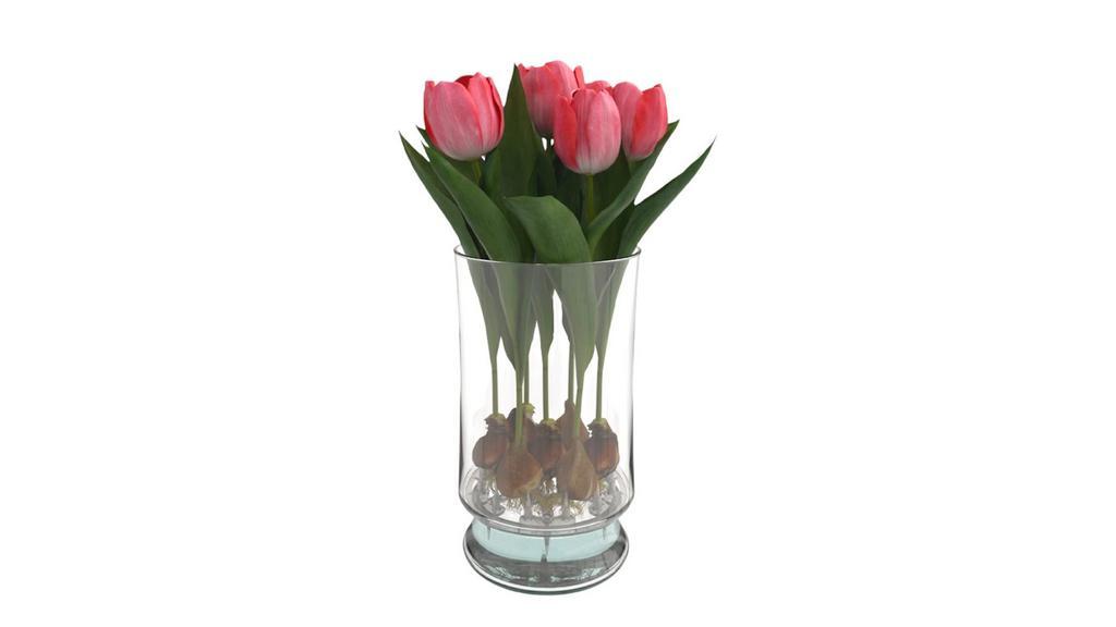 Tulip Blooming Buds · Watch your blooms grow daily. Beautiful glass container, includes 7 bud stems that come in many colors.