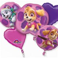 Bouquet Skye Paw Patrol · Skye Paw Patrol bouquet includes one large balloon and 4 regular balloons.