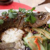 Whole Fried Branzino · 12 - 16 oz whole fish with head and tail on, crispy fried and glazed with tamarind-soy moon ...