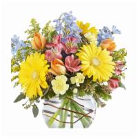 Cottage Blossoms · All-around arrangement with orange tulips, yellow Gerbera daisies and mini carnations, delph...