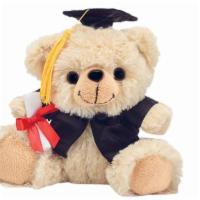 Small Plush Grad Bear · Small Plush Grad Bear dressed in cap and gown with mini diploma.