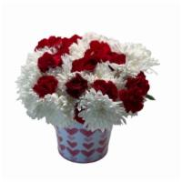 Carnation Surprise  · White and Red Carnation Arrangement in a beautiful pail.
*Pail colors may differ depending o...