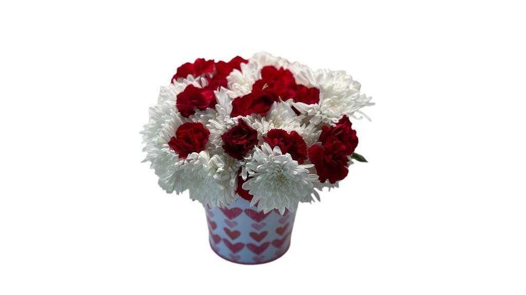 Carnation Surprise  · White and Red Carnation Arrangement in a beautiful pail.
*Pail colors may differ depending on availability.
Different color options are available upon request depending on availability.