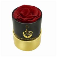 Mini Round Eternal Red Rose  · Single Red Rose that has been preserved and will last up to 3-5 years.  
*Allergy Friendly