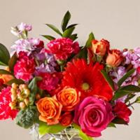  Fiesta Bouquet · The Fiesta Bouquet is composed of a lively mix, fit to celebrate any and every moment. With ...