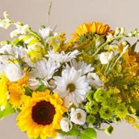  Hello Sunshine Bouquet · Give a dose of sunshine in bloom. This stunning bouquet is teeming with rays of sunflowers, ...