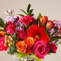 Fiesta Bouquet · The Fiesta Bouquet is composed of a lively mix, fit to celebrate any and every moment. With ...
