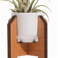 Minimalist Mini Planter Ceramic + Wood Modern Plant Stand · A minimalist mini planter for the modern plant lover! The perfect adornment for the desk of ...