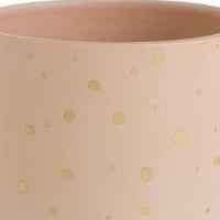 Nola Pot · Material: Ceramic
Grower Pot Size: 4.5