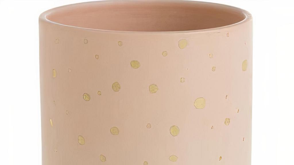 Nola Pot · Material: Ceramic
Grower Pot Size: 4.5