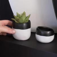 Nyla Pot · Material: Ceramic
Grower Pot Size: 2
