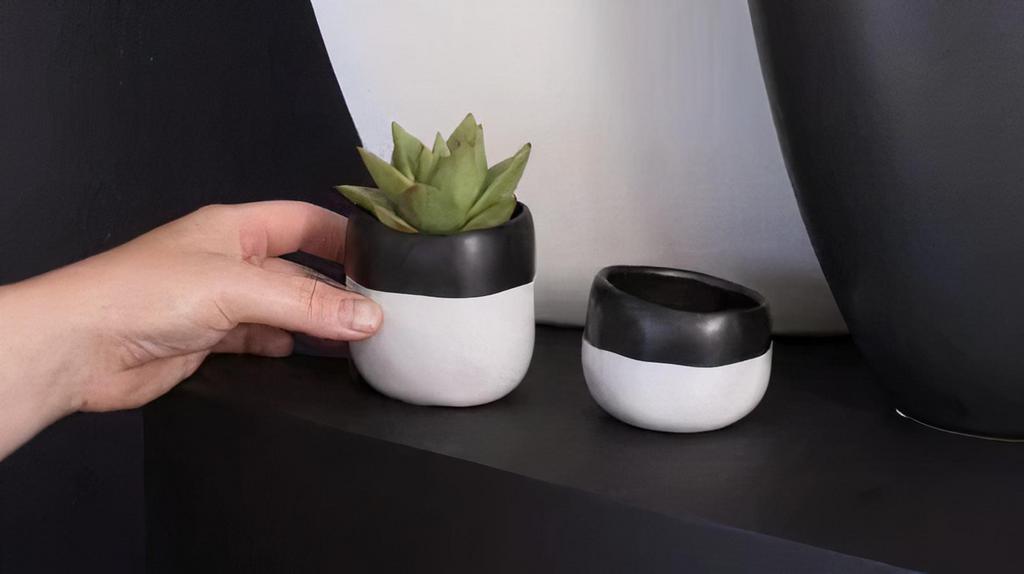Nyla Pot · Material: Ceramic
Grower Pot Size: 2