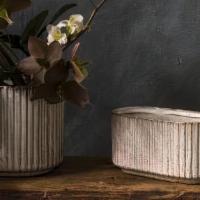 Stable Planter · Material: Ceramic
Grower Pot Size: 2