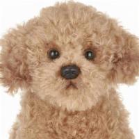Lil' Doodles The Labradoodle · 6 Inches