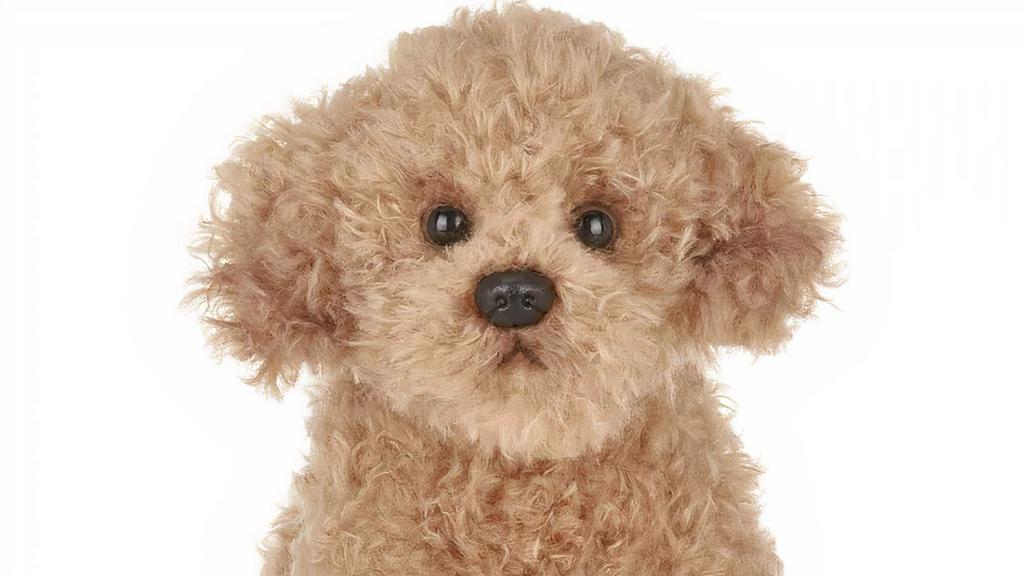 Lil' Doodles The Labradoodle · 6 Inches