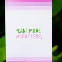 Plant More Worry Less Card · Add a card to a gift for any occasion, from birthdays to anniversaries or just because! Each...