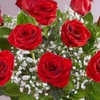 1 Dozen Red Roses · Premium long stemmed roses. Vase, greenery, and filler may vary due to availability.