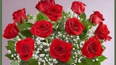 Half Dozen Red Roses · Premium long stemmed roses. . Vase, greenery, and filler may vary due to availability.