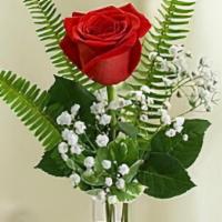 Single Red Rose Bud Vase · A simple gesture that says so much.